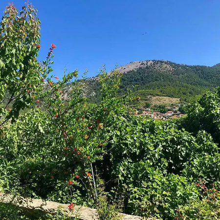 Marianthi's House Rachoni (Thasos)